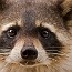 thumbs/IMG_8079.jpg